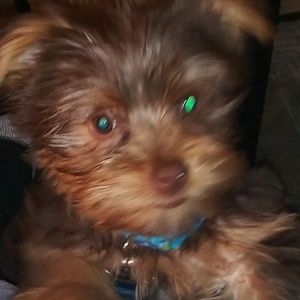 Meet your Posher, Shaneka